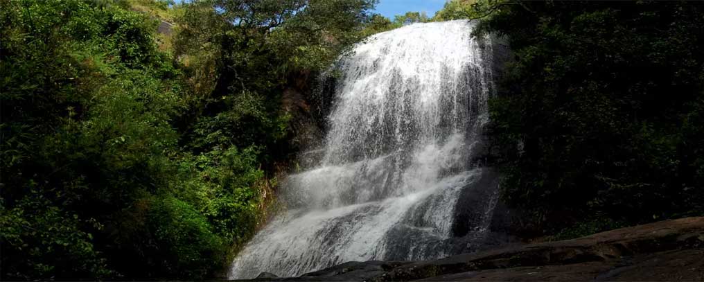 about Leisure Trips