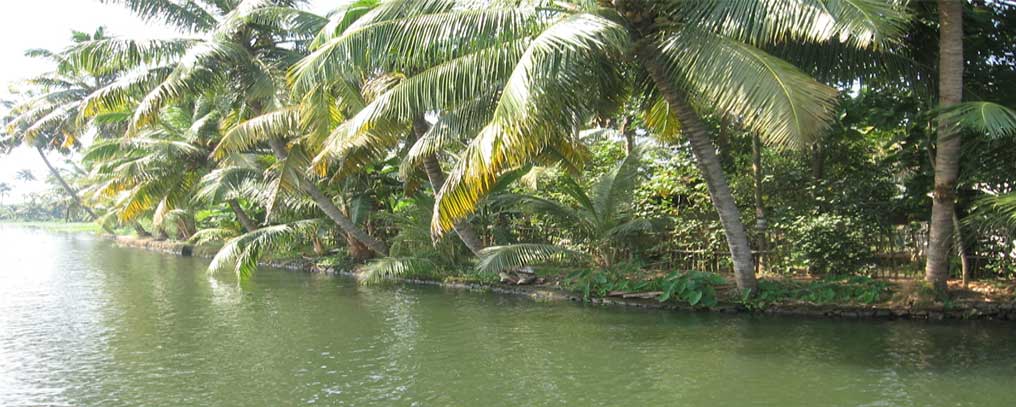 about Leisure Trips