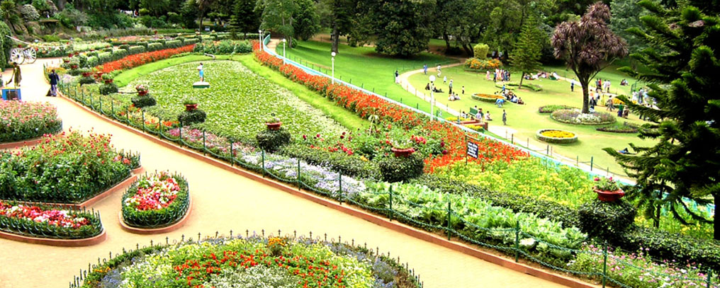 about Leisure Trips