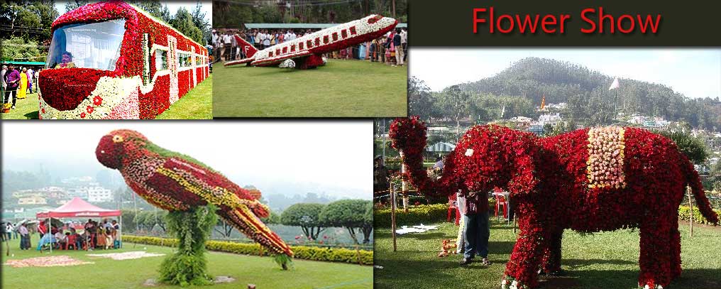 about Leisure Trips